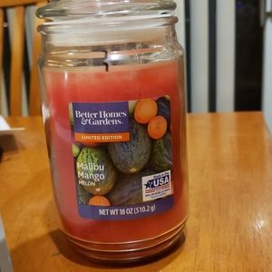 Malibu Mango Melon Candle